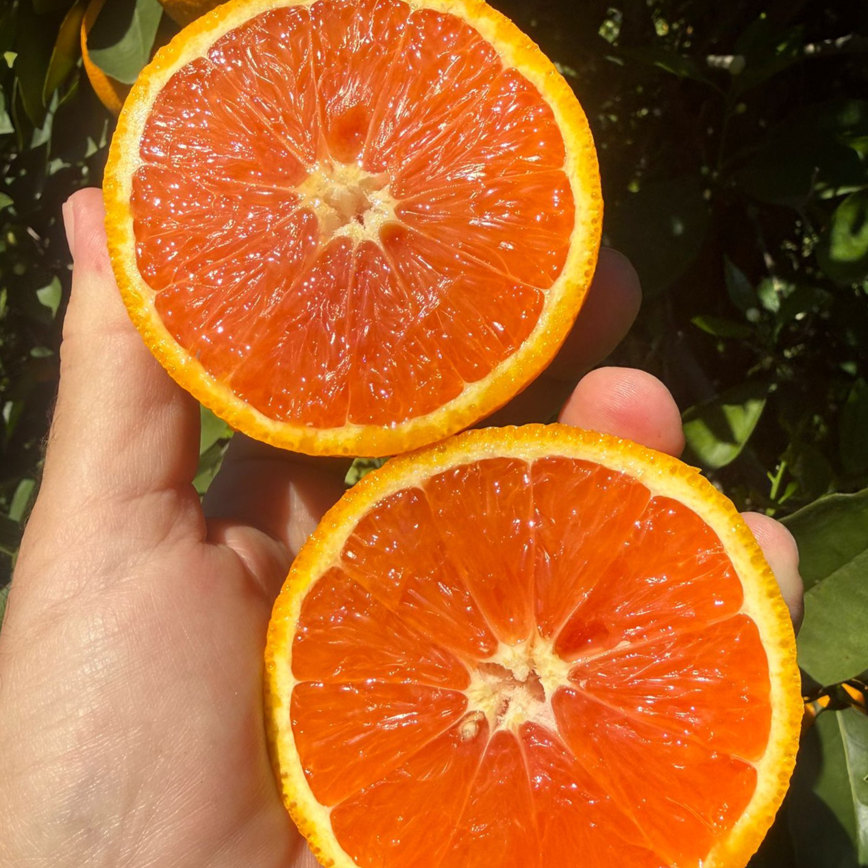 Naranja - RUBY VALENCIA - Imagen 2