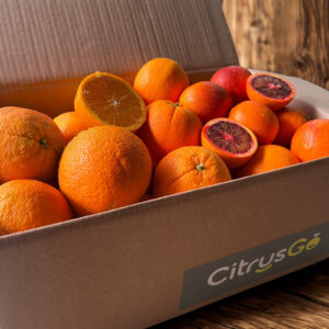 CAJA MIX LANE LATE Y SANGUINELLI