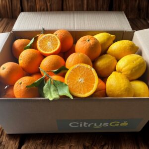 CAJA MIX SALUSTIANA, LANE-LATE y LIMÓN