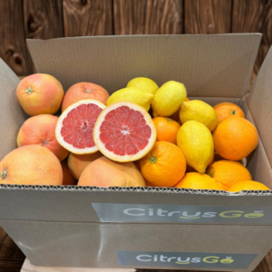 CAJA MIX SALUSTIANA, LANE LATE, POMELO y LIMÓN