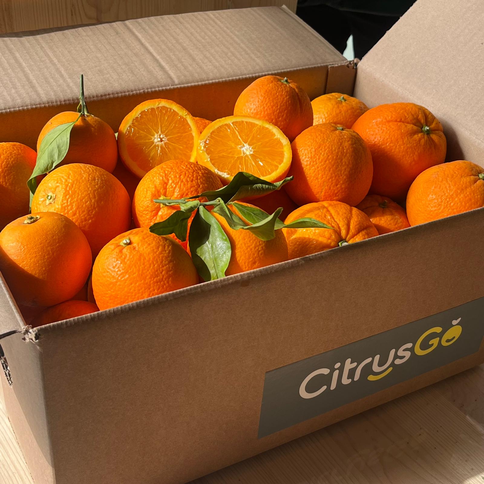 CAJA MIX Naranja SALUSTIANA y NAVEL BARNFIELD