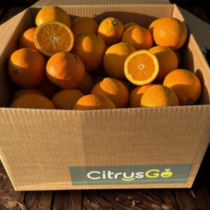 CAJA MIX Naranja NAVEL BARNFIELD y VALENCIA DELTA